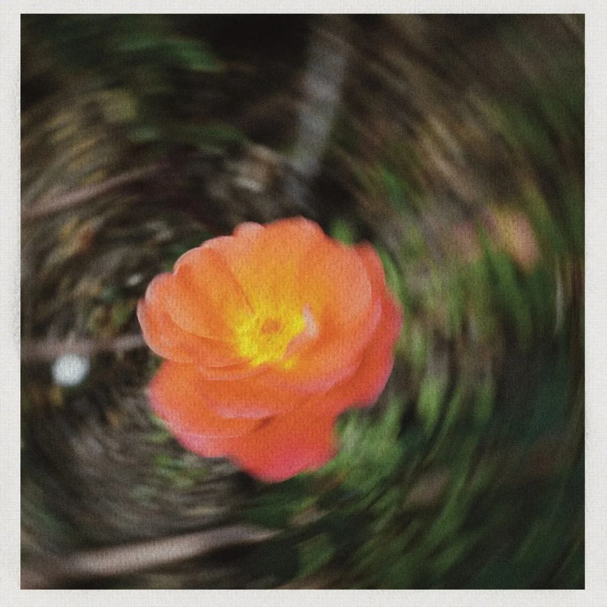 alberto.vela – El Jardín