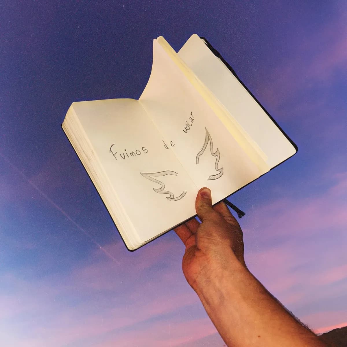 MARTIN – Fuimos De Volar