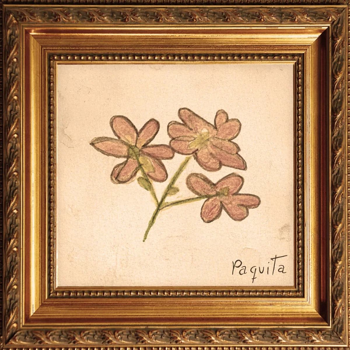 Sara del Valle – Paquita